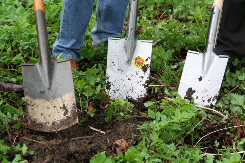 pepiniere-ENTRECASTEAUX-min_work-lawn-flower-tool-green-backyard-1103633-pxhere.com